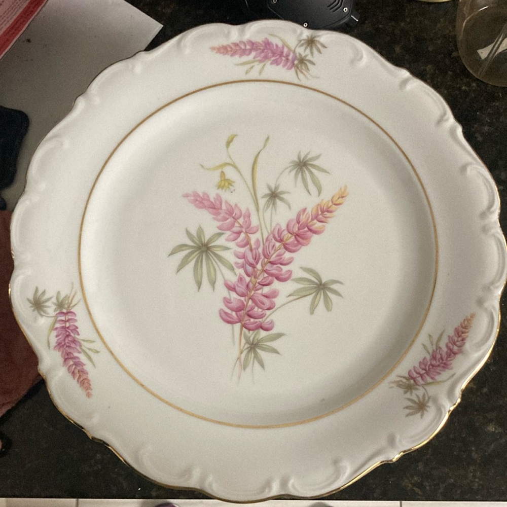 Vintage beautiful dinner 🍽️ plates with gold rim.